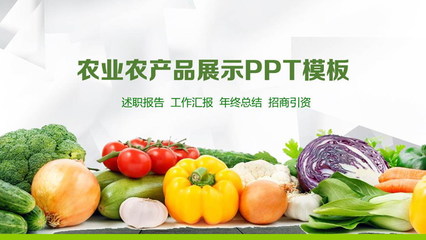 绿色之源 新鲜蔬菜农产品的幻灯片模板设计指南