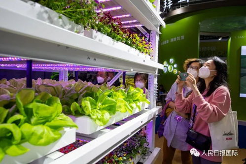 记者手记 在开放中谋发展谋合作谋共赢——中国农产品走向世界的生动实践