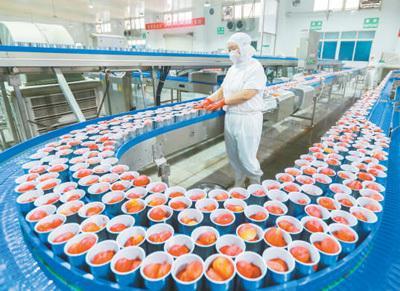 有力有效推进乡村全面振兴 农产品提质增效的路径与实践